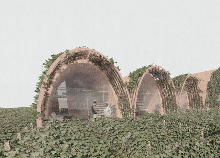 Roman Brick Pavilion Integrated with Vineyards for Wine Experience