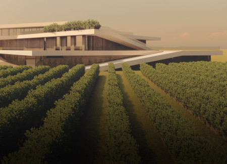 Cascading Terraces of Local Stone and Wood Enveloped by Serene Vineyards