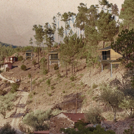 Elevated Retreat with Local Oak and Greywater Sustainability