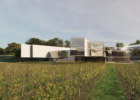 Central Focal Point Emphasizing Vineyard Views and Linear Forms