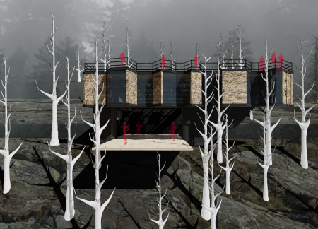 Cross-Laminated Timber Structure Embracing Natural Terrain for Wellness Practices