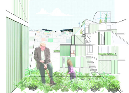 Steel Framework Supporting Community Gardens in Sustainable Urban Living