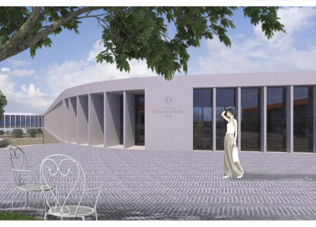 Terraced Green Landscape Framed by Minimalistic White Stripe