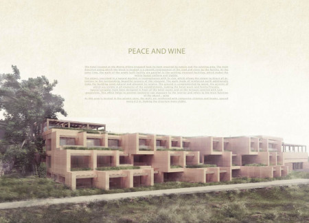 Reinforced Earth Walls and Grapevine Pergolas in Vineyard Retreat