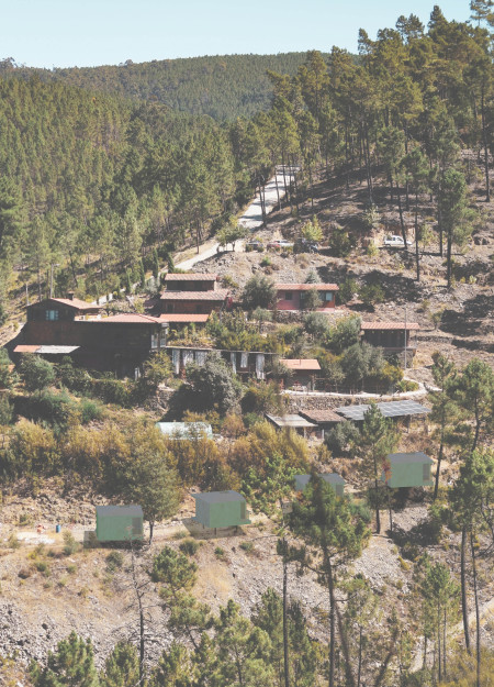Pine Wood Shelter Featuring Rainwater Collection in Natural Landscape