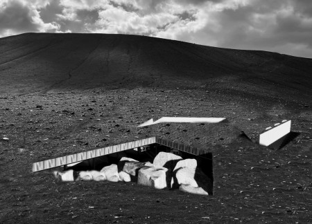 Glass Enclosure Enhancing Connection with Nature Through Vegetation