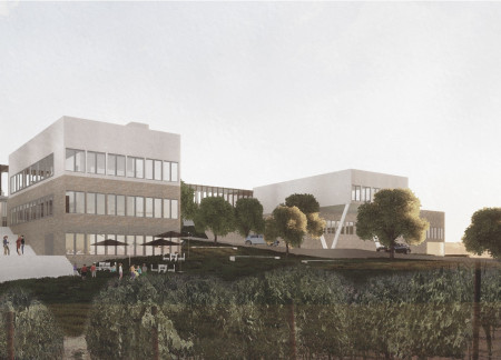 Infinity Pool with V-Shaped Columns and Vineyard Views