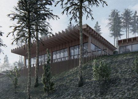 Sinuous Concrete and Wood Retreat Surrounded by Zen Gardens