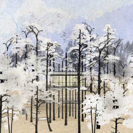 Water Collection Structure Elevated Among Pine Trees