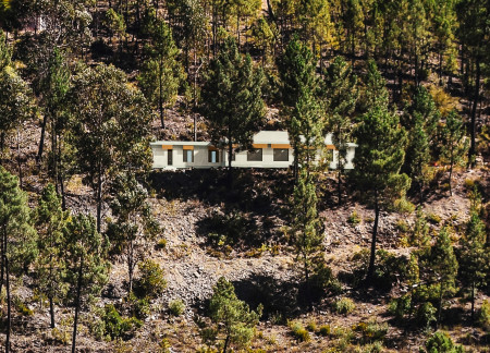 Elevated Stone Foundations with Cork Interiors in a Nature-Integrated Wellness Space