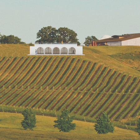Cave-Like Structure Integrating Rock and Slate in a Vineyard Setting