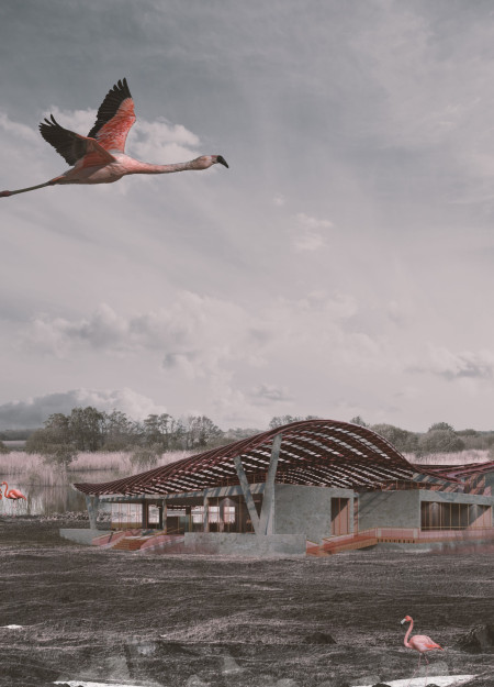 Flamingo-Inspired Oval Structure Integrating Natural Colors and Education