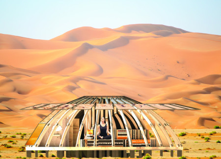 Reflective Facades and Date Palm Craftsmanship in a Desert Retreat
