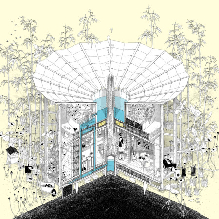 Straw Bales and Wood Elevation in a Circular Living Space