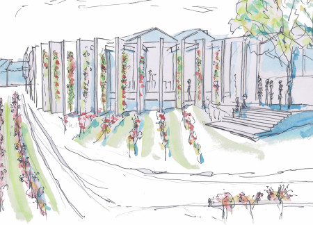 Climbing Vines and Brick Columns Forming a Vineyard Tasting Space