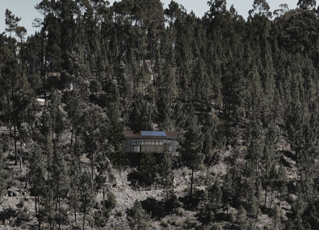 Indoor Garden Surrounded by Photovoltaic Panels in a Wooden Retreat