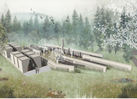 Soundscape of Reflection Within a Natural Gray Setting