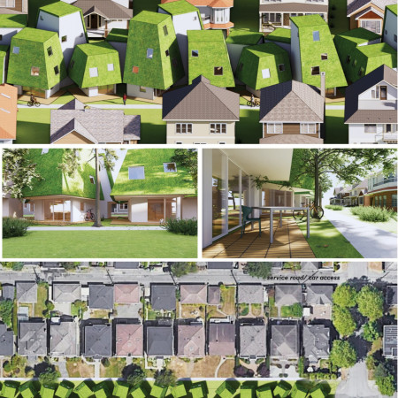 Vertical Living with Green Walls in a Community Setting