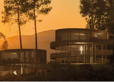 Pine Wood Retreat Engaging with Nature Through Quartz and Amethyst Elements