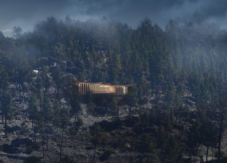 Curved Roof and Timber Fins Define a Sustainable Zen Retreat