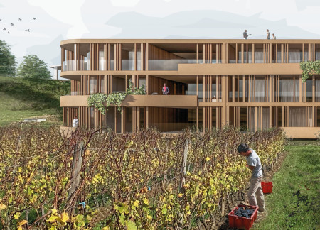 Charred Wooden Shingles and Cross-Laminated Timber Panels Form a Seamless Integration into the Vineyard Landscape