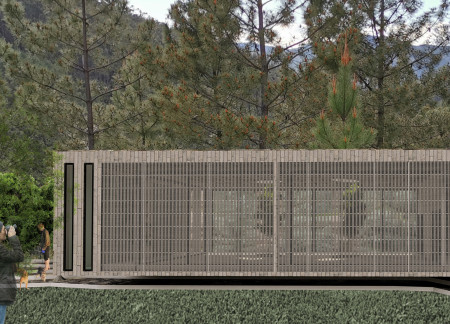 Light-Filled Yoga Center with Integrated Tree Zones and Elevated Terrace