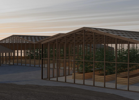 Cultivating Fresh Produce Within Transparent Spaces