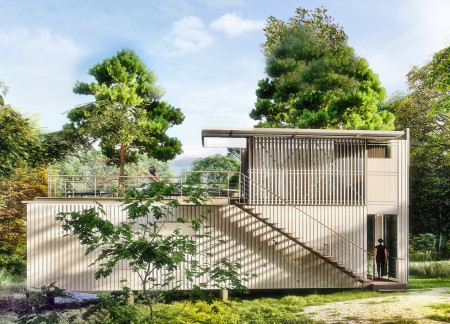 Elevated Living Spaces with Thermally Modified Wood and Natural Light