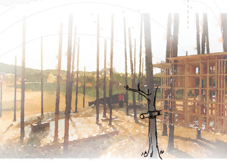 Charred Timber Pavilions Emphasizing Forest Regeneration Through Lashing Techniques