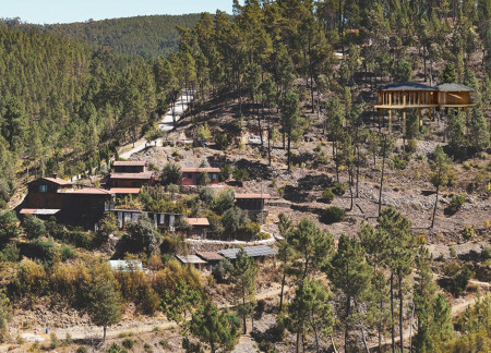 Central Pine Retreat Built with Rammed Earth and Natural Light