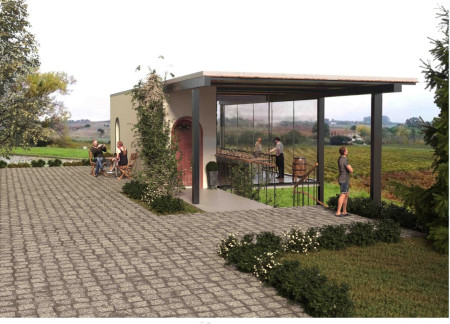 French Oak Barrels Framing Scenic Vineyard Views in a Community Tasting Space