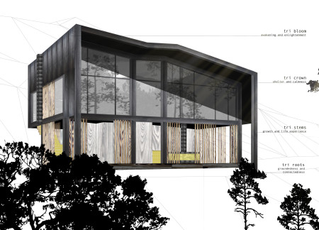 Burnt Pine Canopy Overlooking a Serene Vale for Mindful Retreats