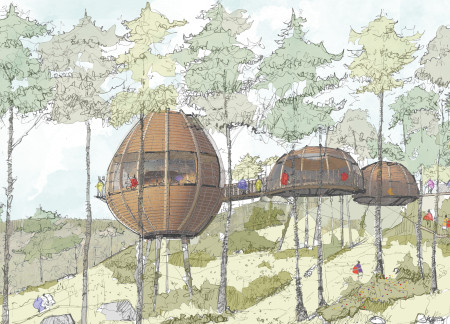 Timber Walkway Integrated with Native Flora for Mindful Reflection