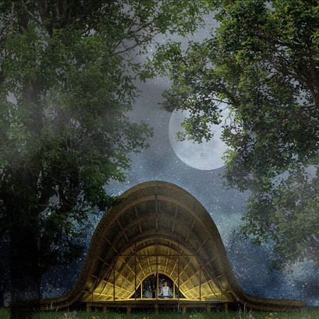 Cork Insulated Retreat with Timber Frames in a Natural Bush Clearing