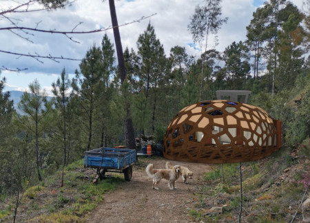 Cork Panels and Wooden Flooring Create a Serene Yoga Retreat