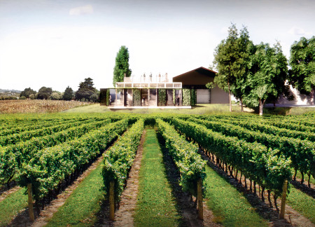 An Immersive Tasting Pavilion Framing the Vineyard View