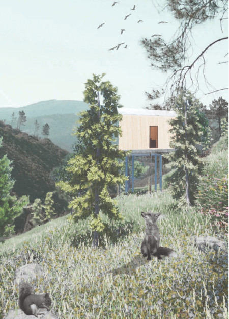 Elevated Timber Retreat with Integrated Skylights and Composting Solutions