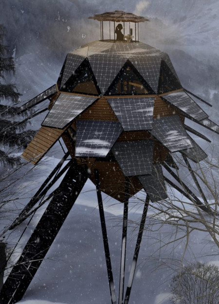 Movable Solar Panels and Thatch Roofs in a Sustainable Forest Residence