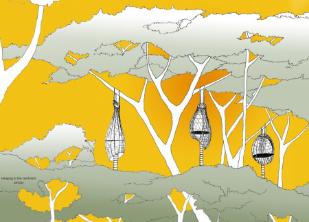 Bamboo Canopy Retreat Built with Engineered Timber and Natural Joints