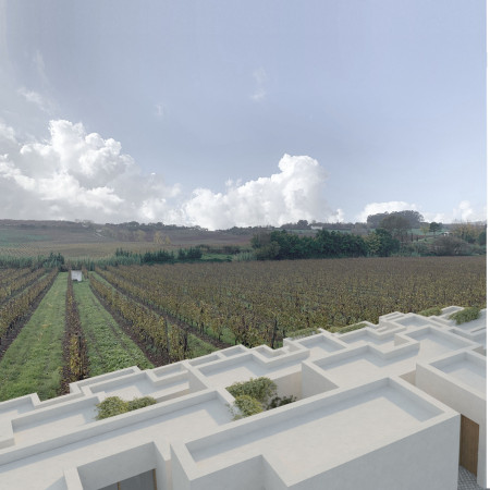Green Walls and Local Stone Create Spatial Harmony in Vineyard Community Hub