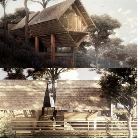 Central Tree Integrated into Timber Pods Embracing Natural Landscape