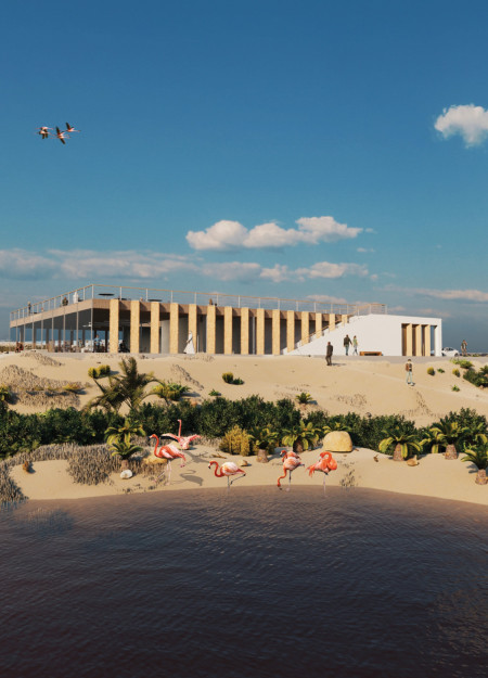 Palm Louvers and Bird-Friendly Glass in a Wetland Observation Center