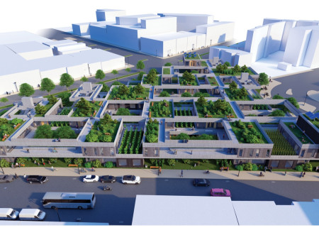 Triangular Courtyards Enhancing Community Life Through Sustainable Greenspace