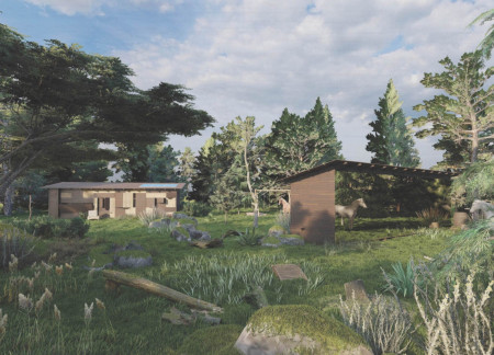 Charred Wood and Reflective Surfaces in Compact Forest Living