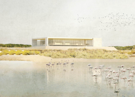 A Sustainable Visitor Centre Showcasing Wetland Ecosystems