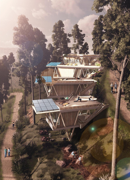 V-Shaped Pinewood Structure Embraces Nature for Mindful Retreat