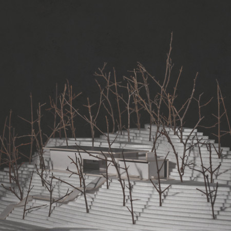 Elevated Yoga Space with Stone Base and Green Roof Integration