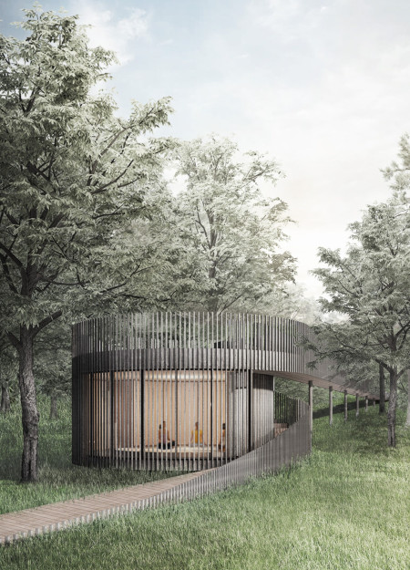 Flat Roof Meditation Space Surrounded by Native Trees