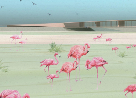 Elevated Platforms Inspired by Flamingo Nesting