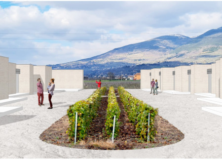 Brick Structures with Vine-Encircled Learning Spaces